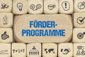 Schriftzug Förderprogramm