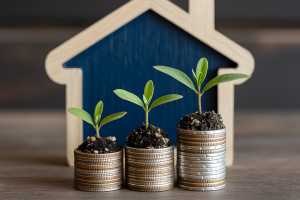 Holzhäuschen mit Münztürmen und Pflanzensprösslingen davor